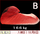 【B】の大間産マグロ画像